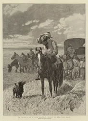 Em busca de um novo lar, uma cena no Far West